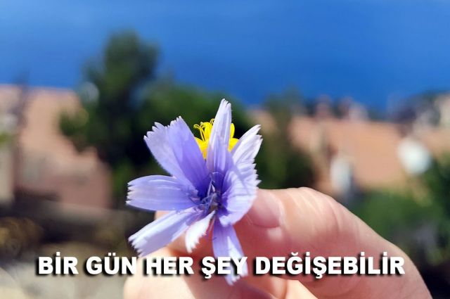 BİR GÜN HER ŞEY DEĞİŞEBİLİR
