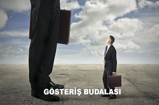 GÖSTERİŞ BUDALASI