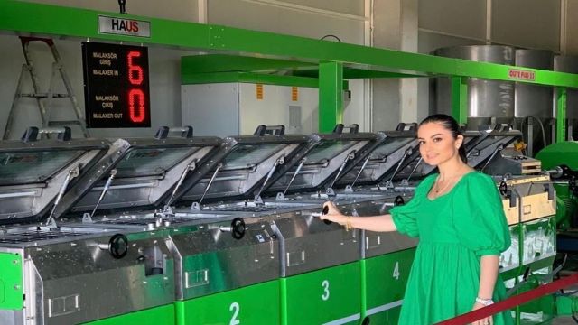 MUT ZEYTİNİ DÜNYA MARKASI OLDU