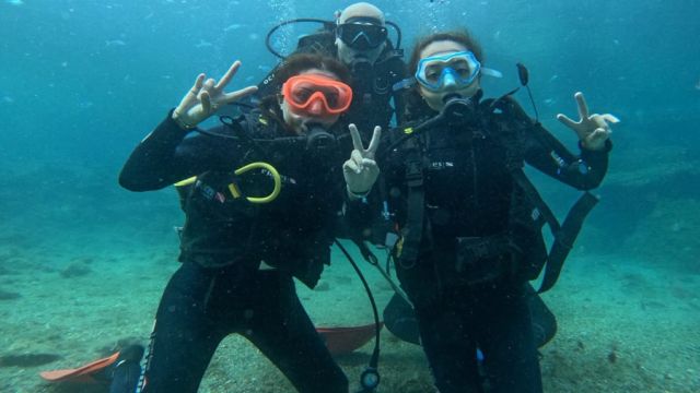 AVUKAT SAROS KÖRFEZİ’NDE DALDI
