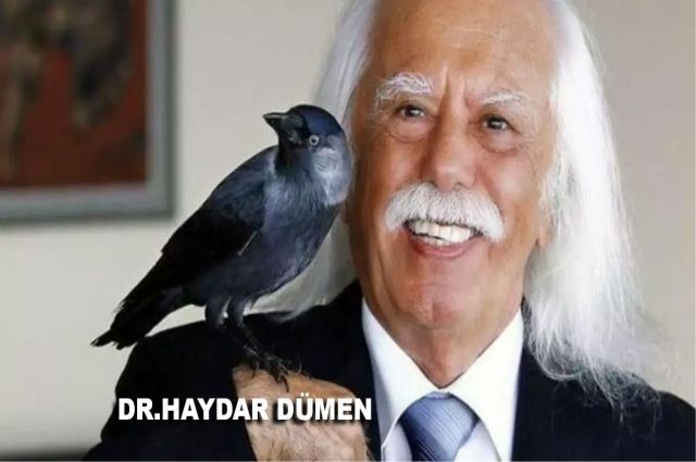 DR.HAYDAR DÜMEN