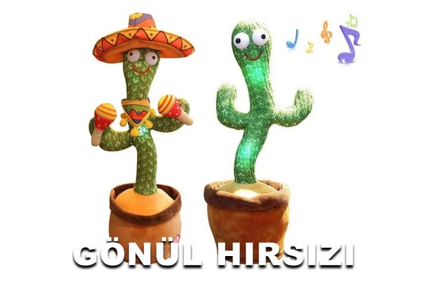 GÖNÜL HIRSIZI