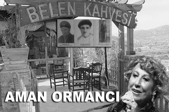 AMAN ORMANCI