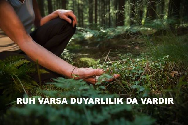 RUH VARSA DUYARLILIK DA VARDIR