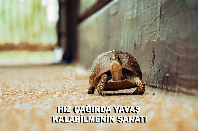 HIZ ÇAĞINDA YAVAŞ KALABİLMENİN SANATI