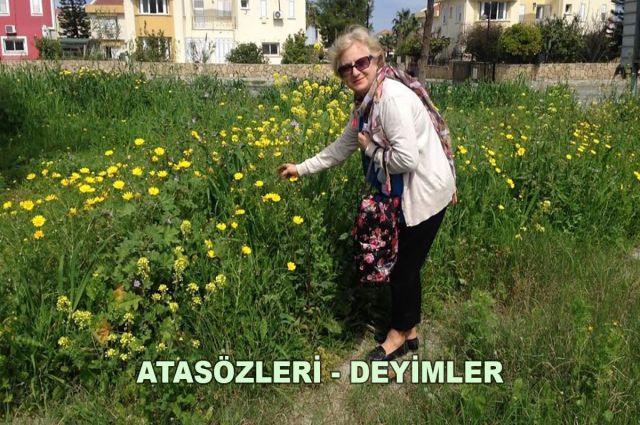 ATASÖZLERİ - DEYİMLER