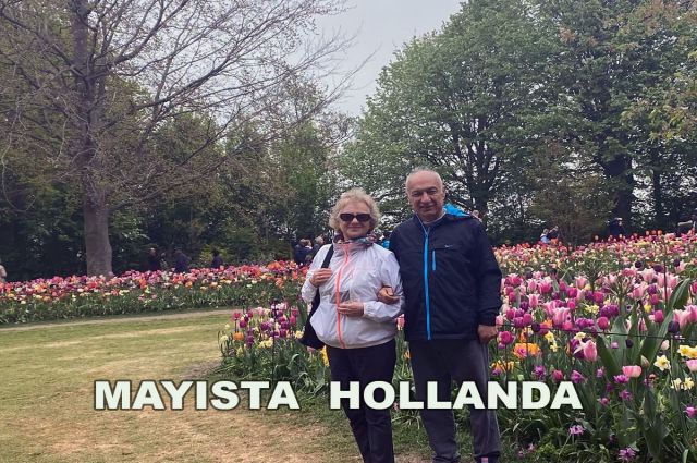 MAYISTA HOLLANDA