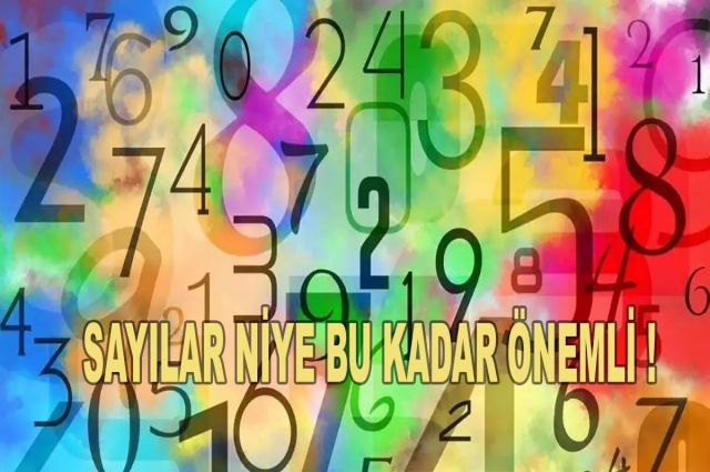 SAYILAR NİYE BU KADAR ÖNEMLİ !