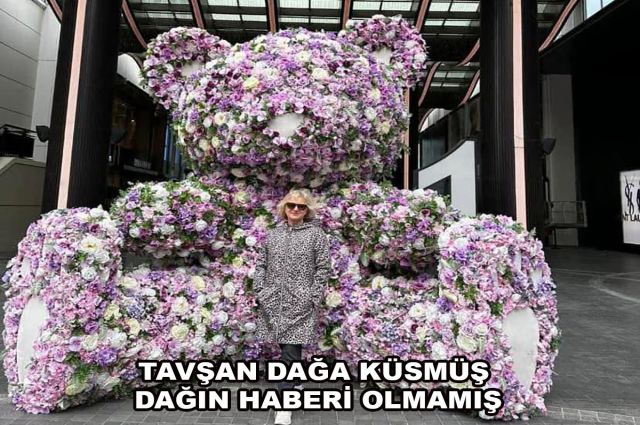 TAVŞAN DAĞA KÜSMÜŞ DAĞIN HABERİ OLMAMIŞ