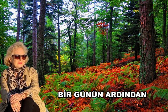 BİR GÜNÜN ARDINDAN.