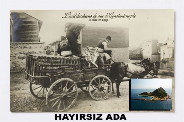 HAYIRSIZ ADA