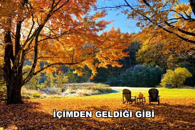 İÇİMDEN GELDİĞİ GİBİ