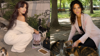 MİCHAELA ASTRO'DAN MANİFEST KEHANETİ